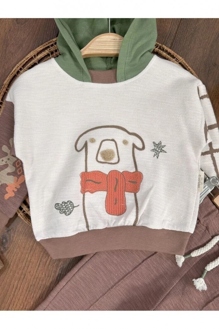 Pamuklu Organik Ayıcık Detaylı Kapüşonlu Erkek Çocuk 2li Takım