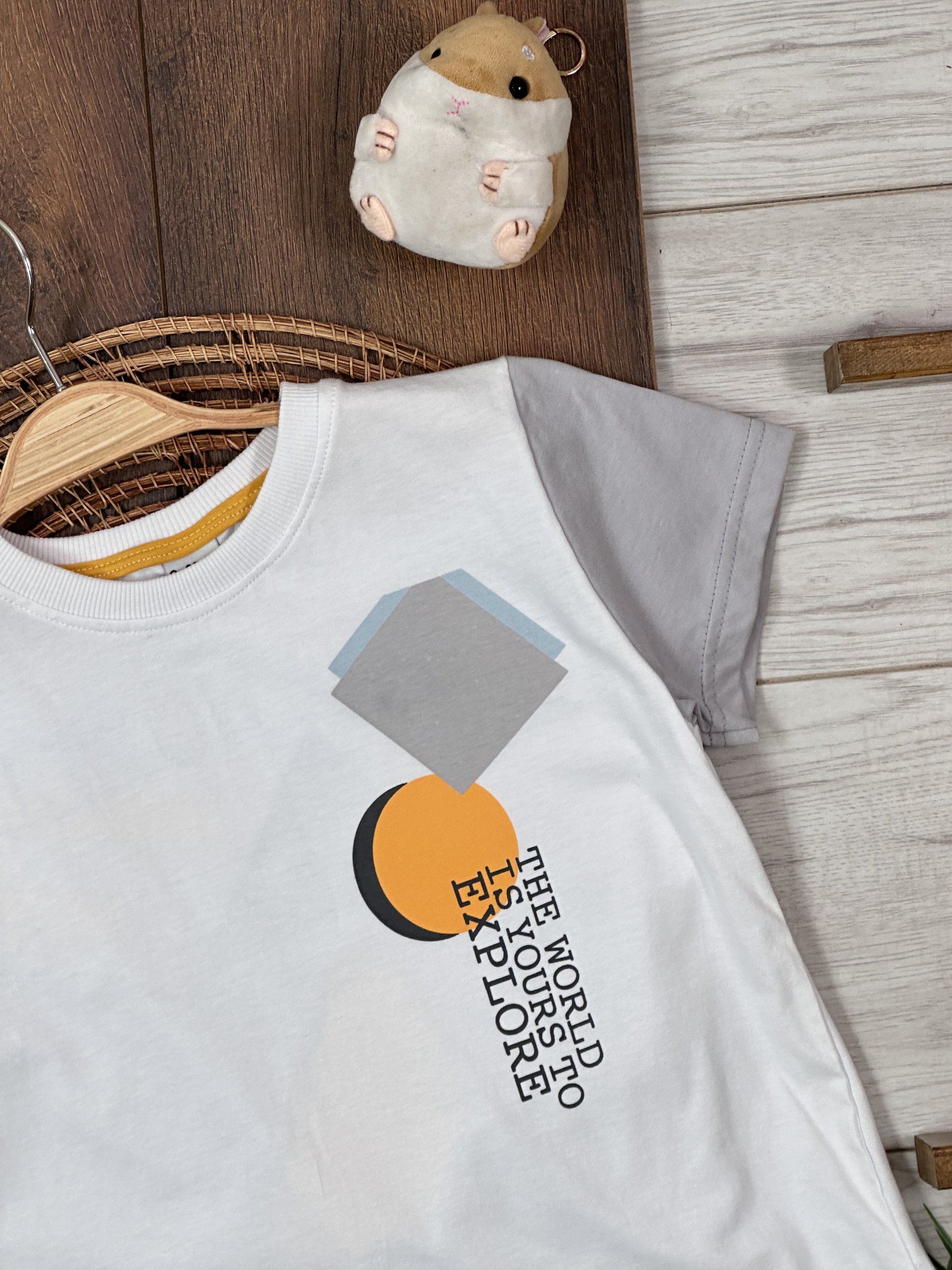 ERKEK ÇOCUK ÖN ARKA BASKILI RENKLİ T-SHİRT