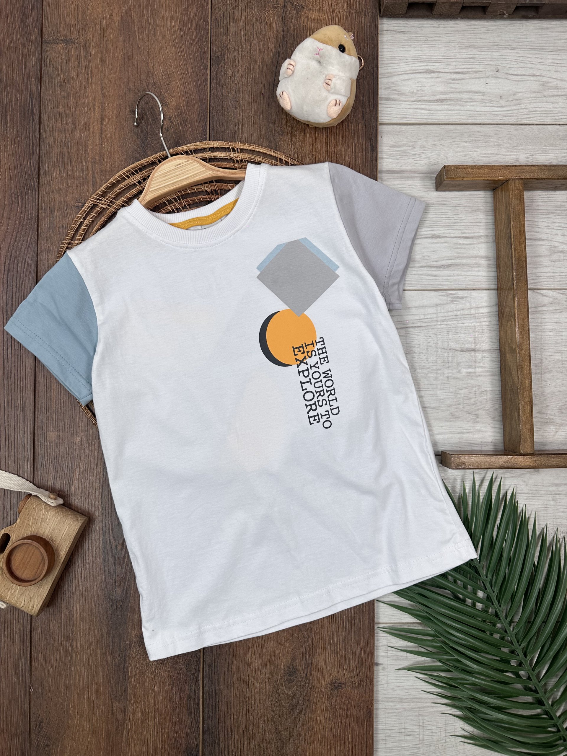 ERKEK ÇOCUK ÖN ARKA BASKILI RENKLİ T-SHİRT