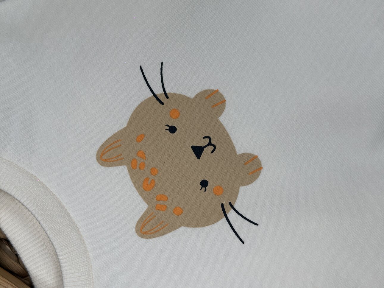 Pamuklu Kedi Desenli 2li Kız Bebek  Takım - Görsel 3