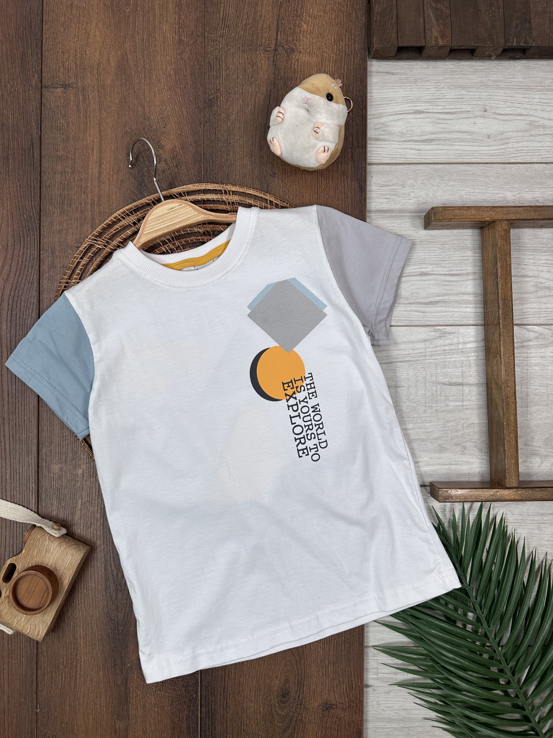 ERKEK ÇOCUK ÖN ARKA BASKILI RENKLİ T-SHİRT