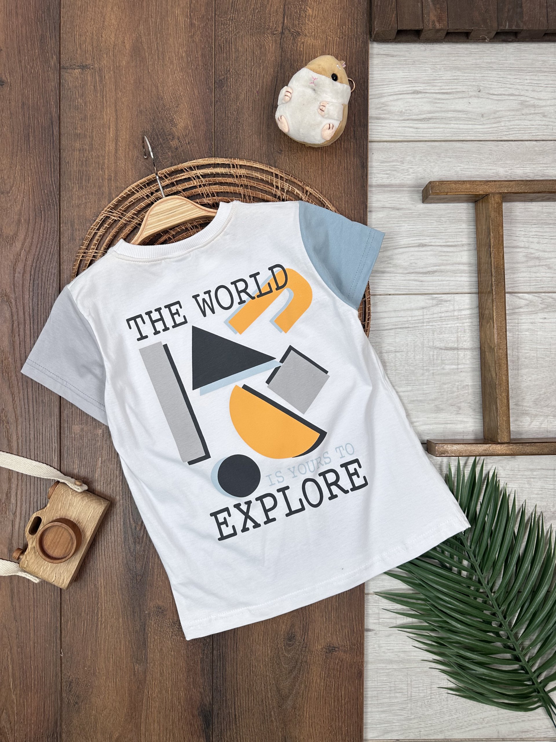 ERKEK ÇOCUK ÖN ARKA BASKILI RENKLİ T-SHİRT